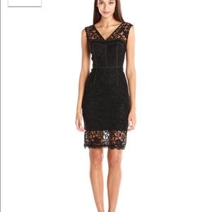 Black Lace Adrianna Papell Dress