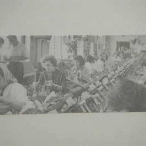 Meet your Posher, Jake