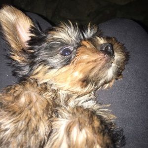 Meet your Posher, Sara