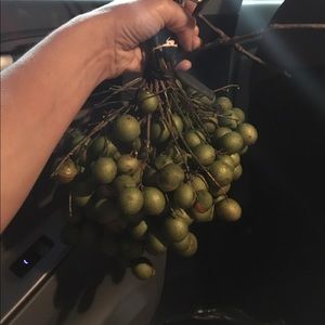 Meet your Posher, Veronica