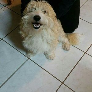 Meet your Posher, Lorena