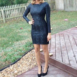 Cache Gray & Lace Mini