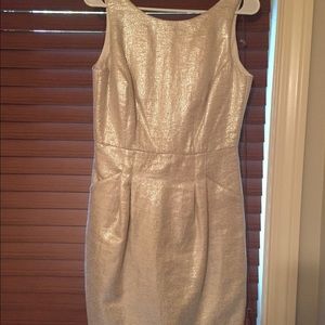 Metallic Dress - NWOT