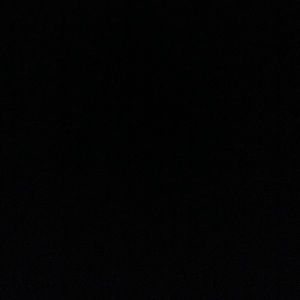 Meet your Posher, Sasha