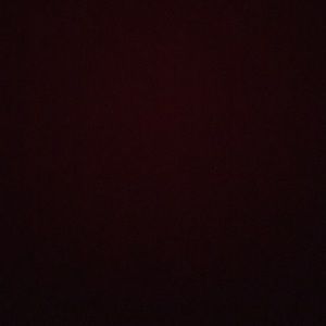 Meet your Posher, Sofia