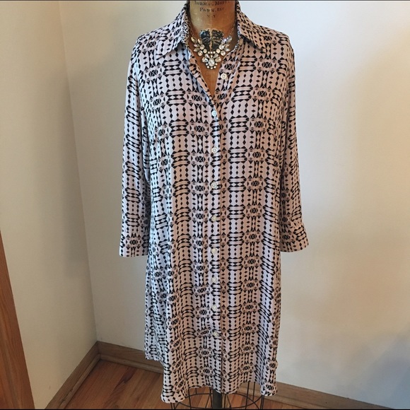 CAbi Shirt Dress