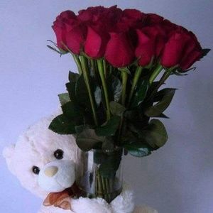 Meet your Posher, Ana