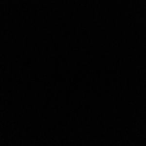 Meet your Posher, Patty