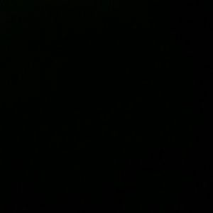 Meet your Posher, Tariq