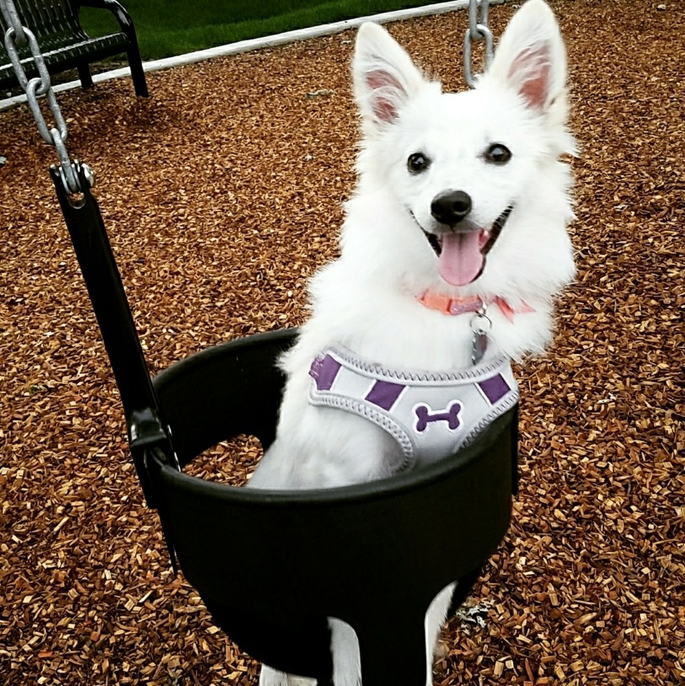 Meet your Posher, Julie