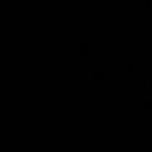 Meet your Posher, Tariq