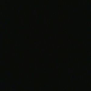 Meet your Posher, Daisy