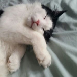 Meet your Posher, Barbara