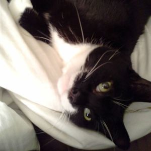 Meet your Posher, Krista