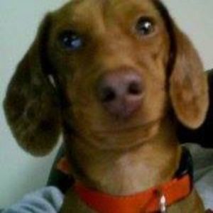 Meet your Posher, Jim