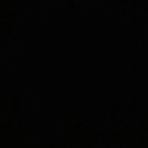 Meet your Posher, Sasha