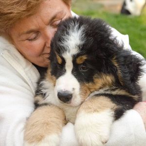 Meet your Posher, Karen