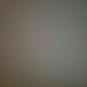 Meet your Posher, Monique