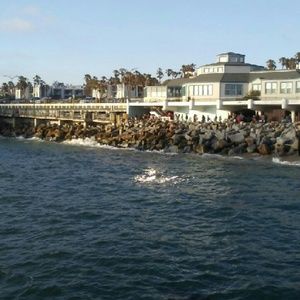 Meet your Posher, Guadalupe