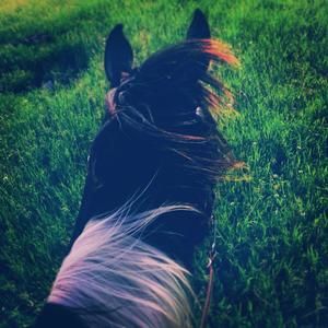 Meet your Posher, Hannah