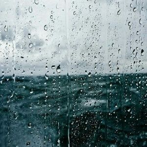 Meet your Posher, Alin