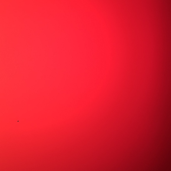 Meet your Posher, Natalie - Picture 1 of 1