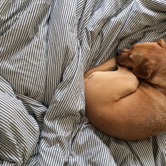 Meet your Posher, Cristina - Picture 2 of 3