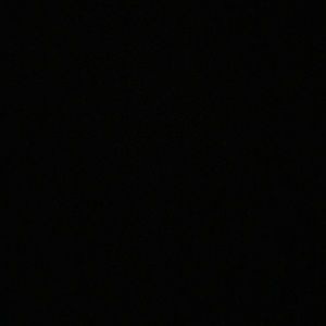 Meet your Posher, Perla