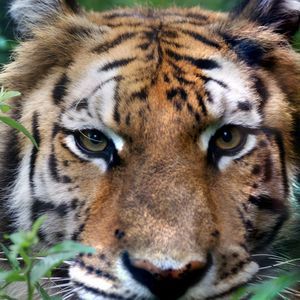 Meet your Posher, Kristal