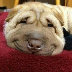 Meet your Posher, Cadite