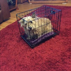 Meet your Posher, Angie