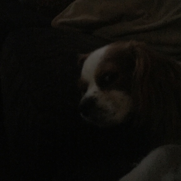 Meet your Posher, Hannah - Picture 1 of 1