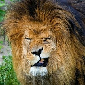 Meet your Posher, Joseph