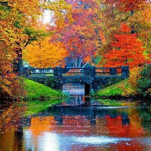 Meet your Posher, Lindy