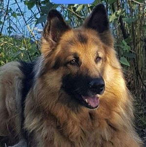 Meet your Posher, Janie