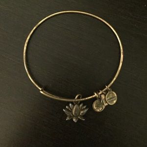 Alex And Ani bracelet