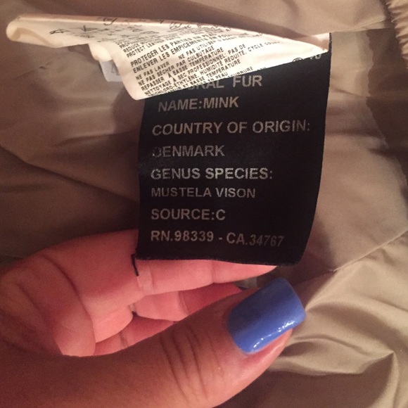 Prada Mink hood parka jacket size 42 - Picture 3 of 8