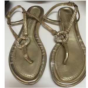 Antonio Melani | Gold/ Metallic Sandals