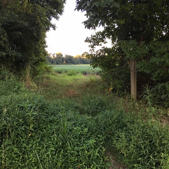 Meet your Posher, Meg - Picture 1 of 1