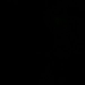 Meet your Posher, Virginia