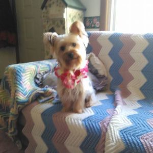 Meet your Posher, Kim