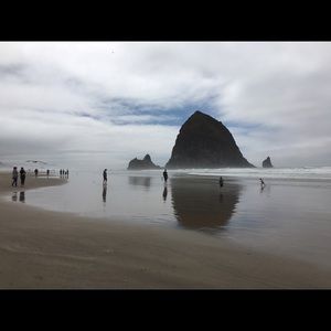 Meet your Posher, Ella