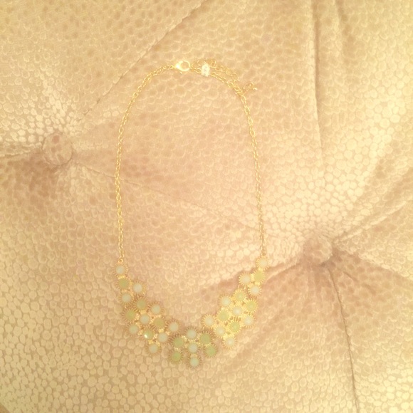 Francesca's Bib Necklace