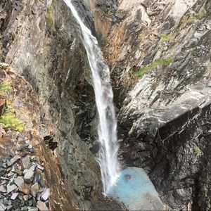 Meet your Posher, Mattie