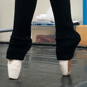 Meet your Posher, Pamela