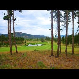 Meet your Posher, Alisa