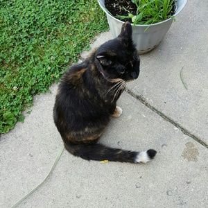 Meet your Posher, Patty