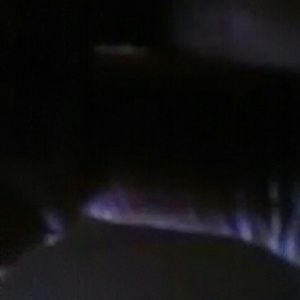 Meet your Posher, Brigette