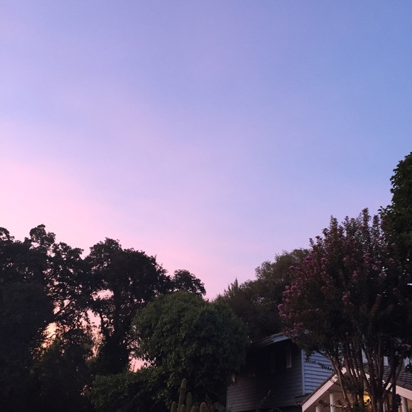 Meet your Posher, N - Picture 1 of 1