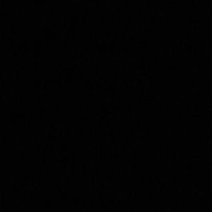 Meet your Posher, Niko